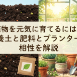 植物を元気に育てるには？培養土と肥料とプランターの相性を解説