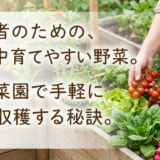 初心者のための、一年中育てやすい野菜。家庭菜園で手軽に収穫する秘訣。
