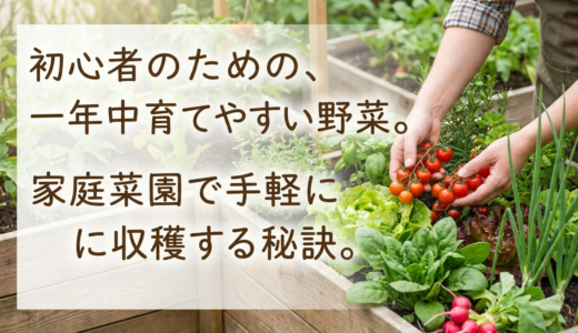 初心者のための、一年中育てやすい野菜。家庭菜園で手軽に収穫する秘訣。
