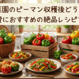 家庭菜園のピーマン収穫後どうする？大量消費におすすめの絶品レシピを紹介！
