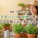 ベランダでハーブを簡単に育てよう。初心者でも失敗しない育て方をご紹介。