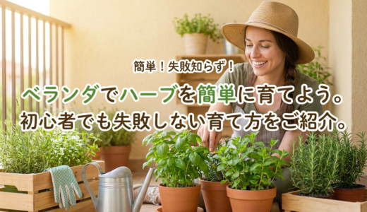 ベランダでハーブを簡単に育てよう。初心者でも失敗しない育て方をご紹介。