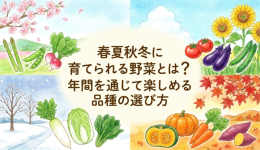 春夏秋冬に育てられる野菜とは？年間を通じて楽しめる品種の選び方