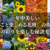 一年中美しい「季節ごと楽しめる花壇」の作り方。四季の彩りを楽しむ秘訣を解説
