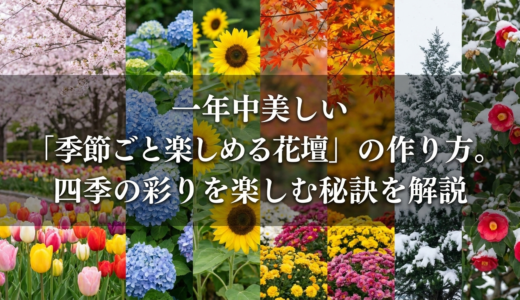 一年中美しい「季節ごと楽しめる花壇」の作り方。四季の彩りを楽しむ秘訣を解説