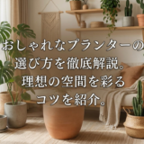 おしゃれなプランターの選び方を徹底解説。理想の空間を彩るコツを紹介。