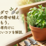 ベランダでハーブの寄せ植えを楽しもう。初心者向けに失敗しないコツを解説。