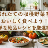 採れたての収穫野菜をおいしく食べよう！簡単な絶品レシピを厳選紹介