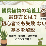 観葉植物の培養土の選び方とは？初心者でも失敗しない基本を解説