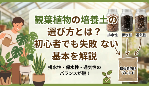 観葉植物の培養土の選び方とは？初心者でも失敗しない基本を解説