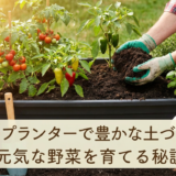 夏のプランターで豊かな土づくり。元気な野菜を育てる秘訣