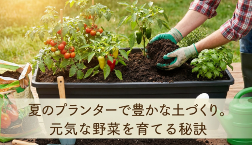 夏のプランターで豊かな土づくり。元気な野菜を育てる秘訣
